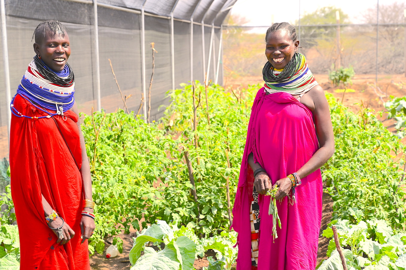 Building Resilience: Thriving In The Face Of Climate Change | Kenya ...